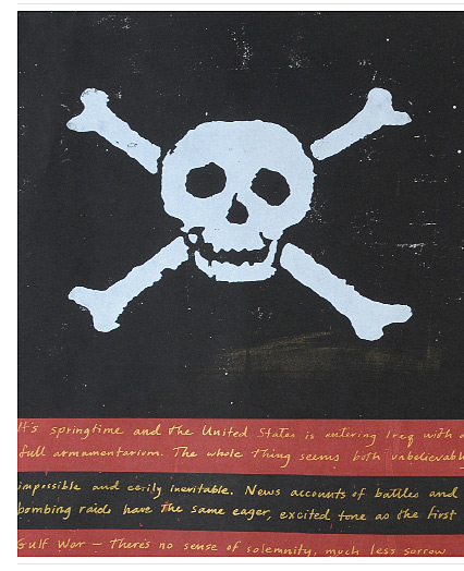 Detail from The Flag Project, Art Book by Maureen Cummins